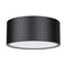 Z-Lite Harley 2 Light Flush Mount, Matte Black 2302F2-MB - alternate 6